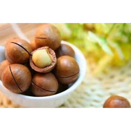 Macademia Fındığı Macademia Fındığı